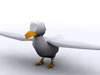 birdz